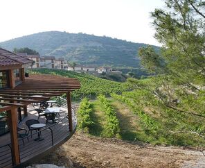GILLHAM VINEYARD HOTEL