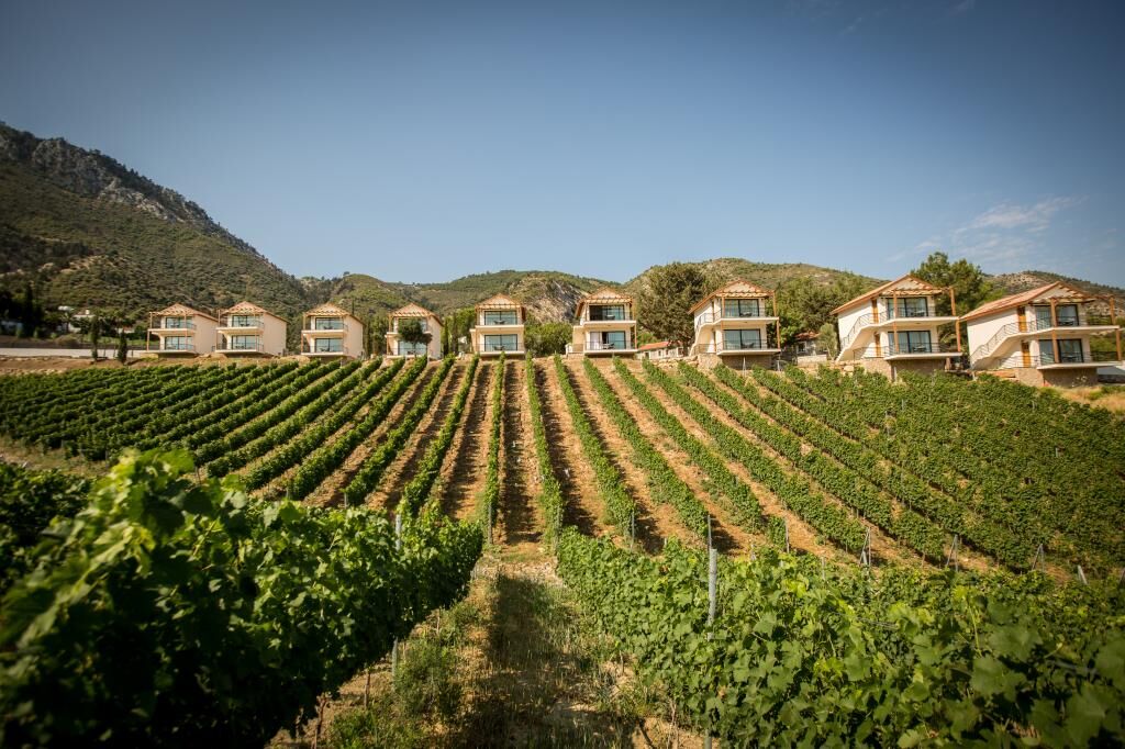 GILLHAM VINEYARD HOTEL