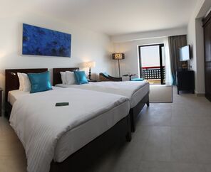 THE ARKIN PALM BEACH HOTEL