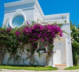 ART SUİTES BODRUM