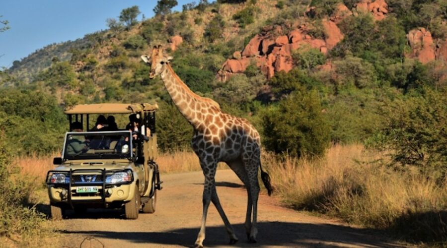 Güney Afrika Turu - THY - 12Gün