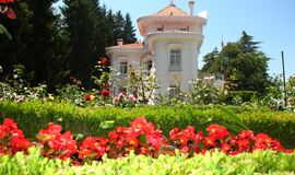 Karadeniz Yaylalar ve Batum Turu / 4 Gece Otel Konaklamalı / İstanbul Çıkışlı